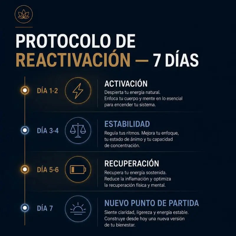 Protocolo Energia 40+